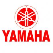 YAM 91